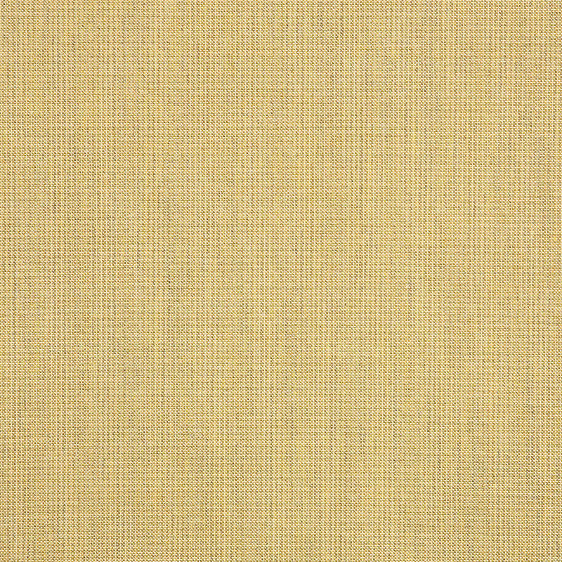48082 Spectrum Almond by Sunbrella Fabric Cushion Furniture Drapery Fabrics > Sunbrella Solids 100% Acrylic USA or Imported n/a 54" - Fabric Carolina -