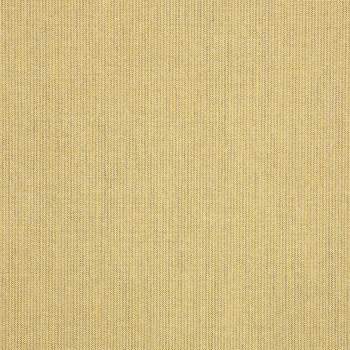 48082 Spectrum Almond by Sunbrella Fabric Cushion Furniture Drapery Fabrics > Sunbrella Solids 100% Acrylic USA or Imported n/a 54" - Fabric Carolina -