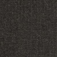 48085 Spectrum Carbon by Sunbrella Fabric