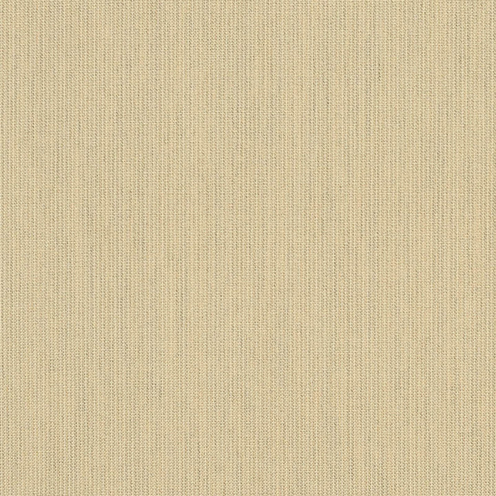 48019  Spectrum Sand by Sunbrella Fabric our website for purchase 100% Sunbrella Acrylic USA (see sample) n/a 54"  - Fabric Carolina -