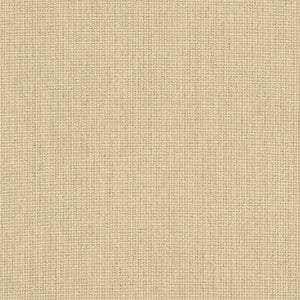 48019 Spectrum Sand by Sunbrella Fabric