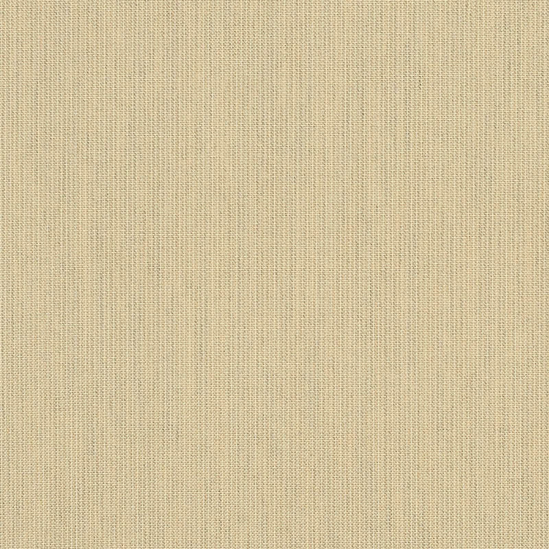 48019 Spectrum Sand by Sunbrella Fabric Cushion Furniture Drapery Fabrics > Sunbrella Solids 100% Acrylic USA or Imported n/a 54" - Fabric Carolina -