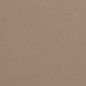 Spirit Millennium Bisque by Naugahyde Fabric