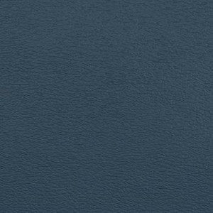 Spirit Millennium Blue Ridge by Naugahyde Fabric