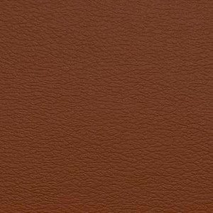 Spirit Millennium British Tan by Naugahyde Fabric