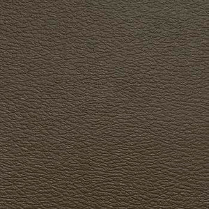Spirit Millennium Bronze US 523 by Naugahyde Fabric