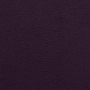 Spirit Millennium Concord by Naugahyde Fabric