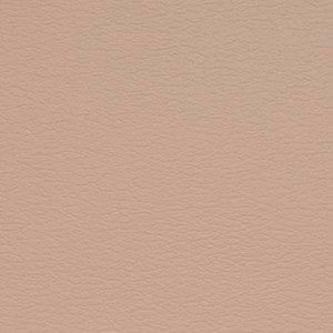 Spirit Millennium Coral Sand US 502 by Naugahyde Fabric