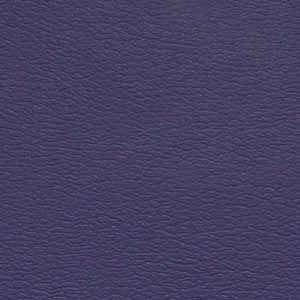 Spirit Millennium Crocus by Naugahyde Fabric