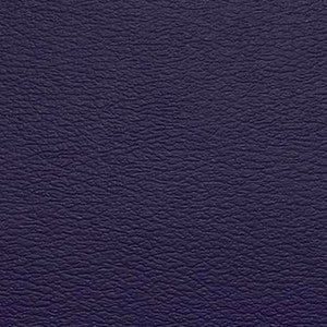 Spirit Millennium Deep Violet by Naugahyde Fabric