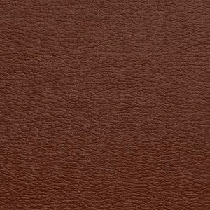 Spirit Millennium Gingersnap by Naugahyde Fabric