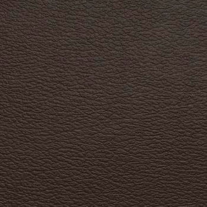 Spirit Millennium Mocha by Naugahyde Fabric