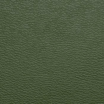 Spirit Millennium Olive Green US 529 by Naugahyde Fabric our website for purchase 100% Vinyl USA or Asia Water-based cleaning agents and foam may be used for cleaning. Cleaning by a professional cleaning service is recommended. Horizontal: - and Vertical: - 54" - Fabric Carolina -