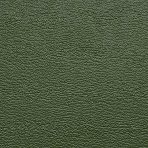 Spirit Millennium Olive Green by Naugahyde Fabric