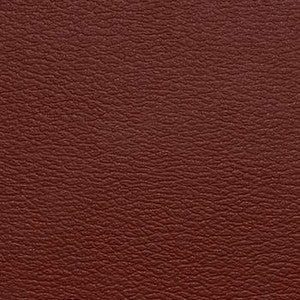 Spirit Millennium Paprika by Naugahyde Fabric