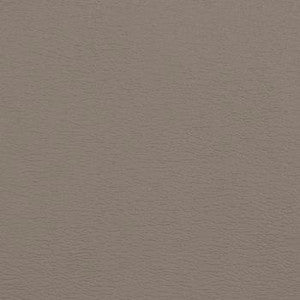 Spirit Millennium Putty by Naugahyde Fabric