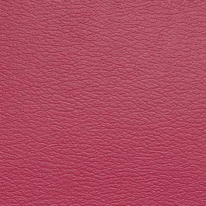 Spirit Millennium Rosalee US 504 by Naugahyde Fabric