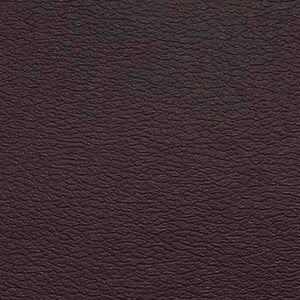 Spirit Millennium Rustic Brown by Naugahyde Fabric