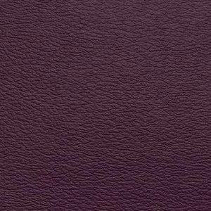 Spirit Millennium Sangria US 506 by Naugahyde Fabric