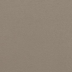 Spirit Millennium Taupe by Naugahyde Fabric