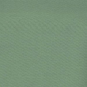 Squire Aspen by Norbar Fabric 60% COTTON 40% POLYESTER 56" - Fabric Carolina -