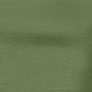 Squire Lime by Norbar Fabric 60% COTTON 40% POLYESTER 56" - Fabric Carolina -