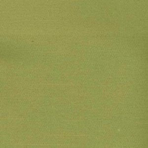 Squire Olive by Norbar Fabric