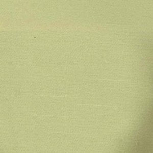Squire Spearmint by Norbar Fabric