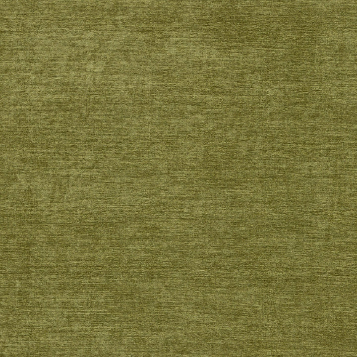 St. Tropez 42 Aloe by Europatex Fabric St. Tropez 100% Polyester 0.00" 57.00 inches - Fabric Carolina -