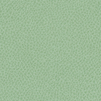 Steinbeck Aloe by Nassimi Fabric See sample 95% Polyurethane (Polycarbonate)5% Silicone 300000 Horizontal: Not Applicable and Vertical: Not Applicable 54" - Fabric Carolina -