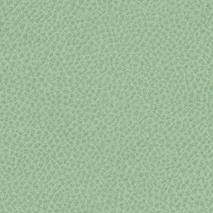 Steinbeck Aloe by Nassimi Fabric