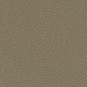 Steinbeck Barley WST-004 by Nassimi Fabric See sample 95% Polyurethane (Polycarbonate),5% Silicone USA or Imported Water-based cleaning agents and foam may be used for cleaning. Cleaning by a professional cleaning service is recommended. 54 - Fabric Carolina -