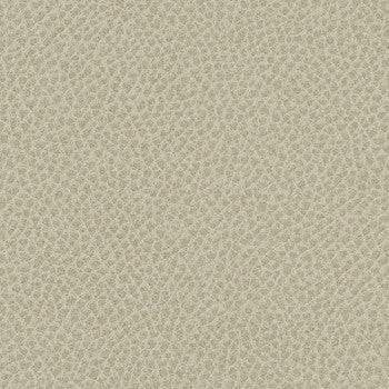 Steinbeck Crater WST-009 by Nassimi Fabric See sample 95% Polyurethane (Polycarbonate),5% Silicone USA or Imported Water-based cleaning agents and foam may be used for cleaning. Cleaning by a professional cleaning service is recommended. 54 - Fabric Carolina -