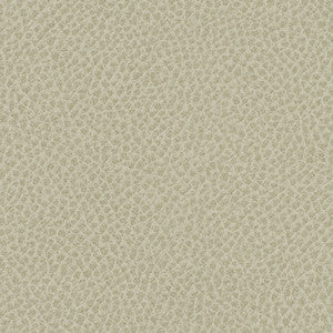 Steinbeck Crater by Nassimi Fabric