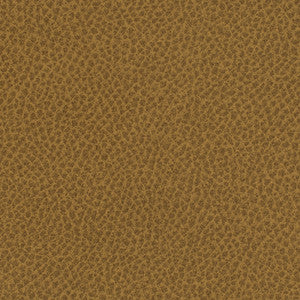 Steinbeck Cumin by Nassimi Fabric