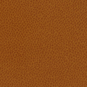 Steinbeck Curry by Nassimi Fabric