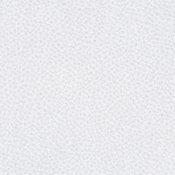 Steinbeck Iceberg WST-014 by Nassimi Fabric See sample 95% Polyurethane (Polycarbonate),5% Silicone USA or Imported Water-based cleaning agents and foam may be used for cleaning. Cleaning by a professional cleaning service is recommended. 54 - Fabric Carolina -