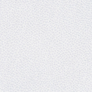 Steinbeck Iceberg by Nassimi Fabric