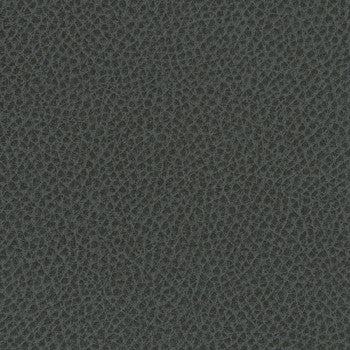 Steinbeck Iron by Nassimi Fabric See sample 95% Polyurethane (Polycarbonate)5% Silicone 300000 Horizontal: Not Applicable and Vertical: Not Applicable 54" - Fabric Carolina -