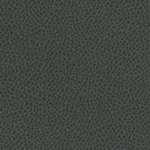 Steinbeck Iron by Nassimi Fabric