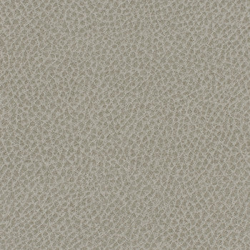 Steinbeck Mist WST-016 by Nassimi Fabric See sample 95% Polyurethane (Polycarbonate),5% Silicone USA or Imported Water-based cleaning agents and foam may be used for cleaning. Cleaning by a professional cleaning service is recommended. 54 - Fabric Carolina -