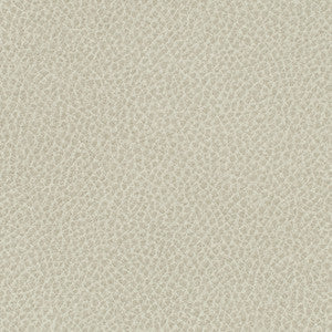 Steinbeck Sediment by Nassimi Fabric