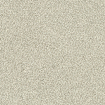 Steinbeck Sediment by Nassimi Fabric See sample 95% Polyurethane (Polycarbonate)5% Silicone 300000 Horizontal: Not Applicable and Vertical: Not Applicable 54" - Fabric Carolina -