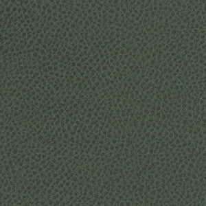 Steinbeck Sherwood by Nassimi Fabric