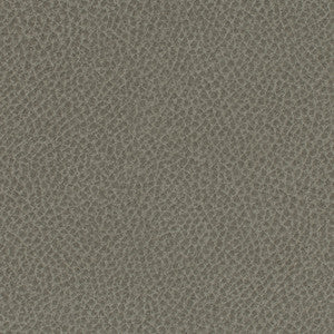 Steinbeck Stingray by Nassimi Fabric