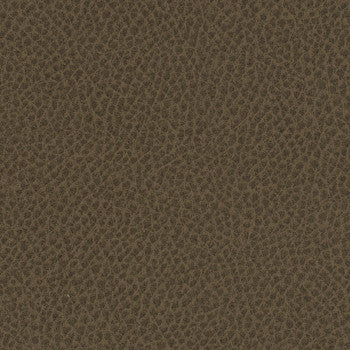 Steinbeck Umber by Nassimi Fabric See sample 95% Polyurethane (Polycarbonate)5% Silicone 300000 Horizontal: Not Applicable and Vertical: Not Applicable 54" - Fabric Carolina -