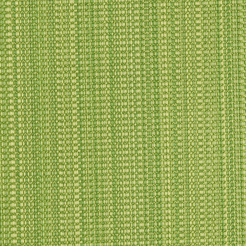 Stitch Lime 1007009 by Crypton Fabric See sample 100% Polyester USA or Imported Water-based cleaning agents and foam may be used for cleaning. This fabric may also be cleaned with mild, water-free solvents. Cleaning by a professional service is recommended. </p><p>Repeat: Horizontal: Not Applicable and Vertical: Not Applicable 54" - Fabric Carolina -