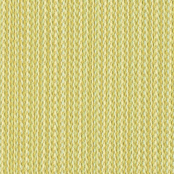 Strictly Business Celery 1004320 by Crypton Fabric See sample 100% Polyester USA or Imported Water-based cleaning agents and foam may be used for cleaning. This fabric may also be cleaned with mild, water-free solvents. Cleaning by a professional service is recommended. </p><p>Repeat: Horizontal: 0 and Vertical: 0 54" - Fabric Carolina -