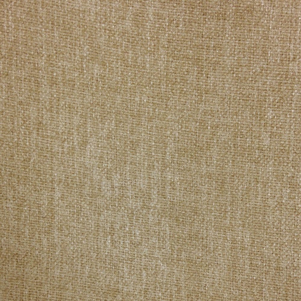 Studio Taupe by Europatex Fabric Studio 100% Polyester 0.00" 55.00 inches - Fabric Carolina -