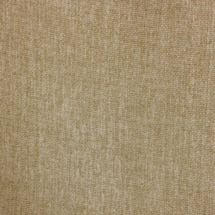 Studio Taupe by Europatex Fabric Studio 100% Polyester 0.00" 55.00 inches - Fabric Carolina -